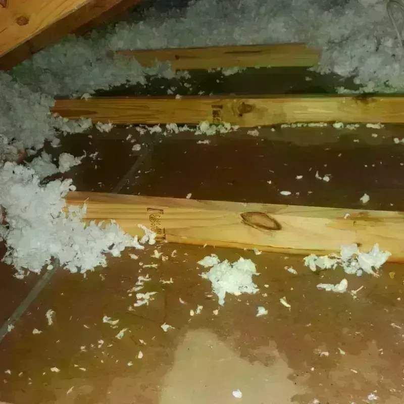 Attic Water Damage in Caribou, ME